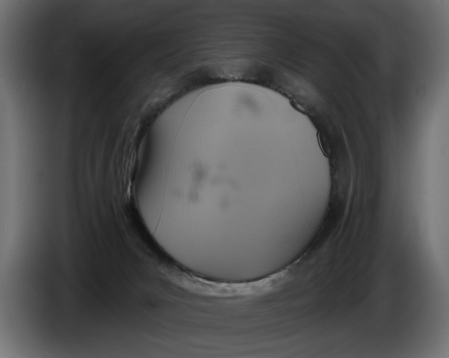 X0000086020031200704131900