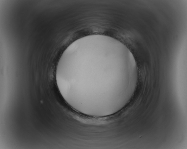 X0000086020032200704131900