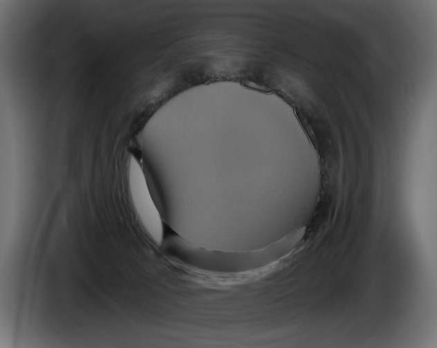 X0000086020033200704131900