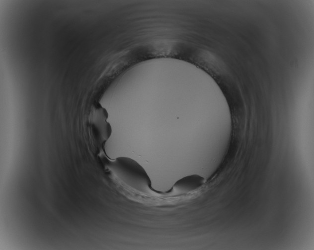 X0000086020035200704131900