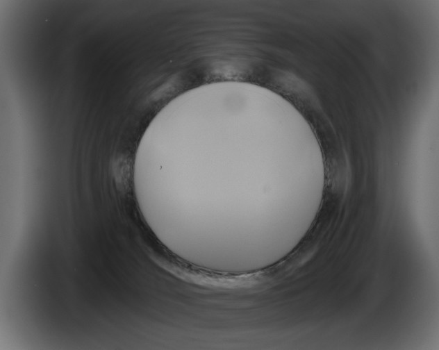 X0000086020036200704131900