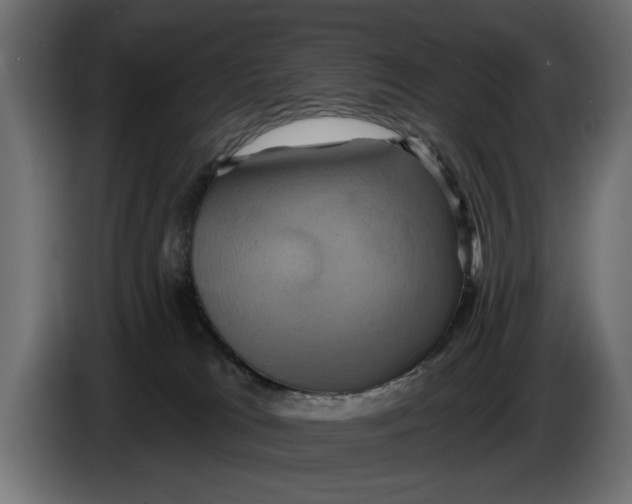 X0000086020037200704131900