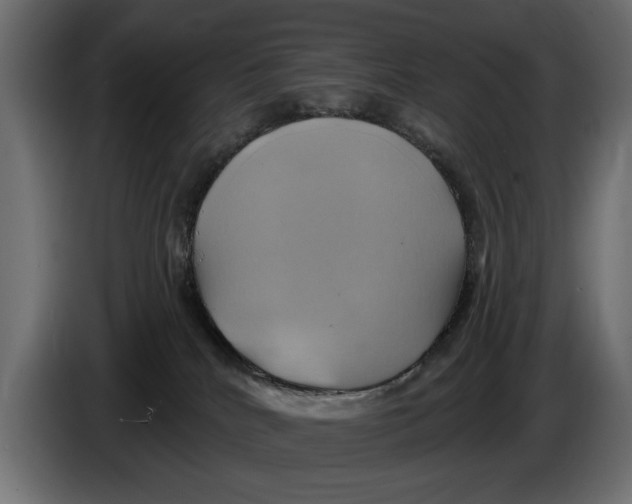 X0000086020040200704131859