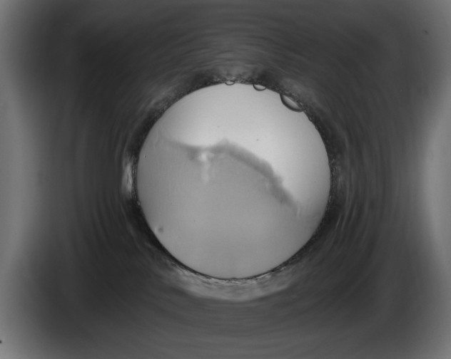 X0000086020042200704131859