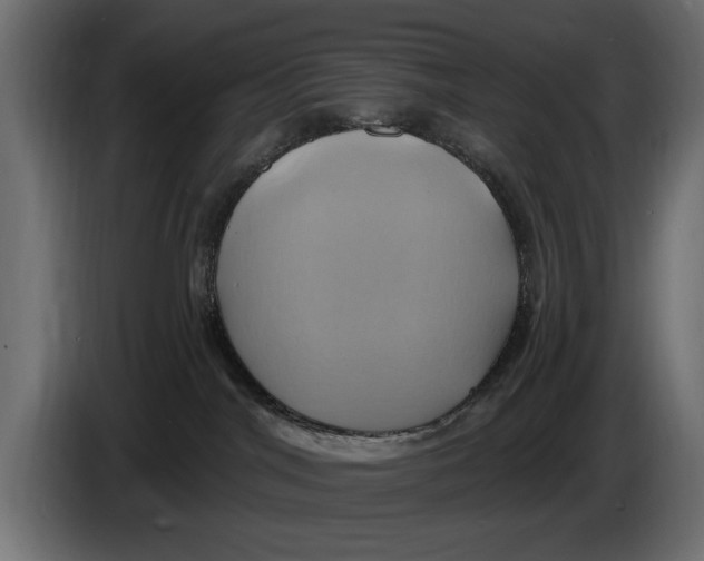 X0000086020044200704131859