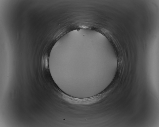 X0000086020046200704131859