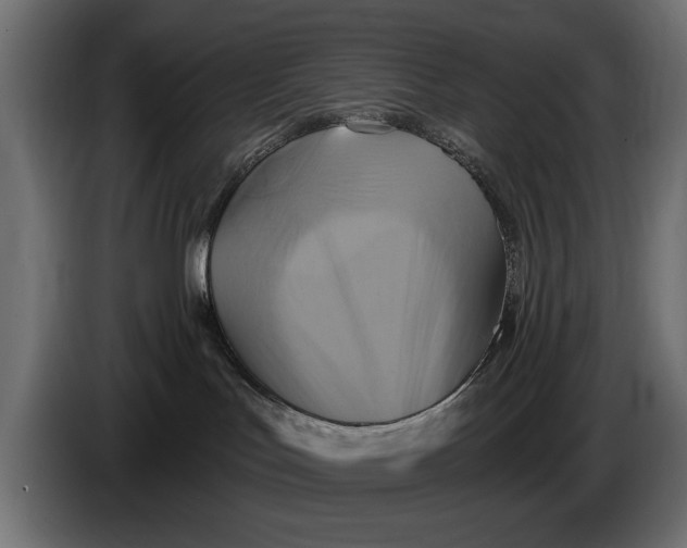 X0000086020047200704131859