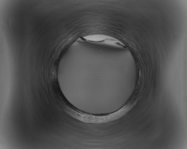 X0000086020048200704131859
