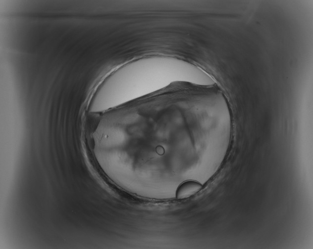 X0000086020049200704131859