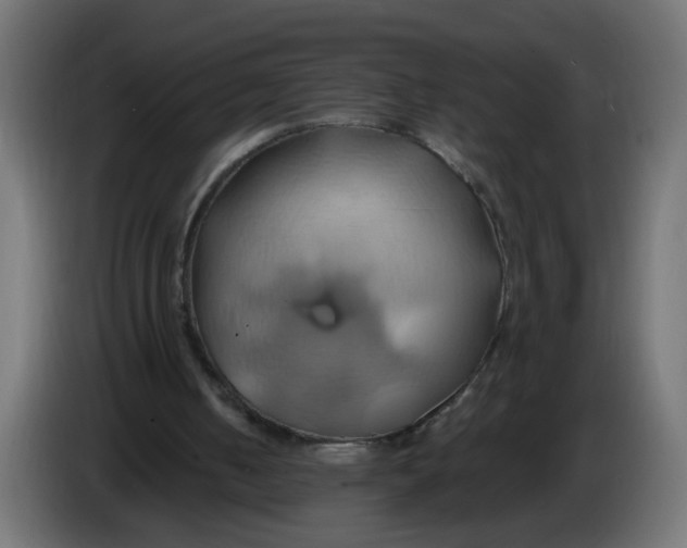 X0000086020050200704131859