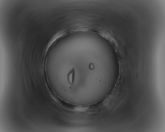 X0000086020051200704131859