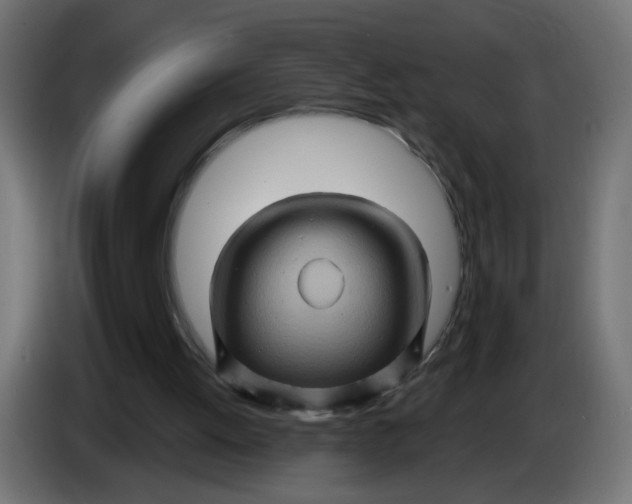 X0000086020052200704131859