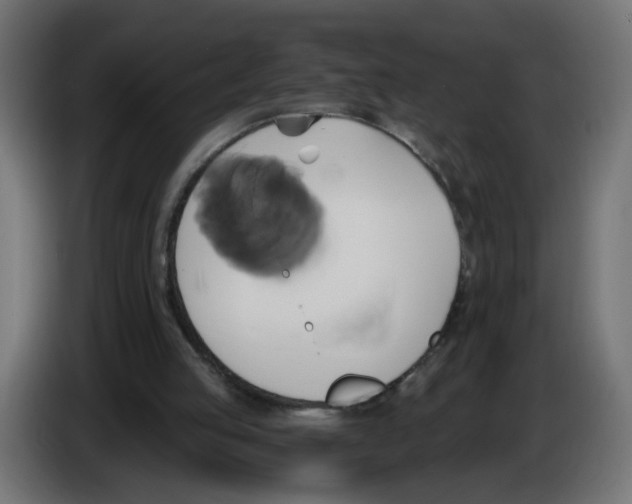 X0000086020053200704131859