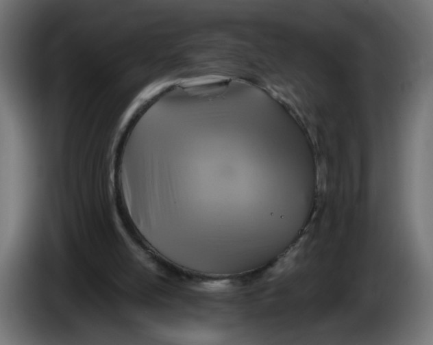 X0000086020054200704131859