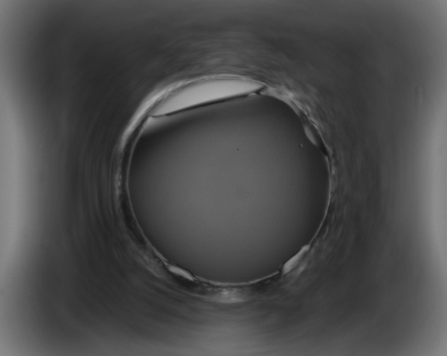 X0000086020056200704131859