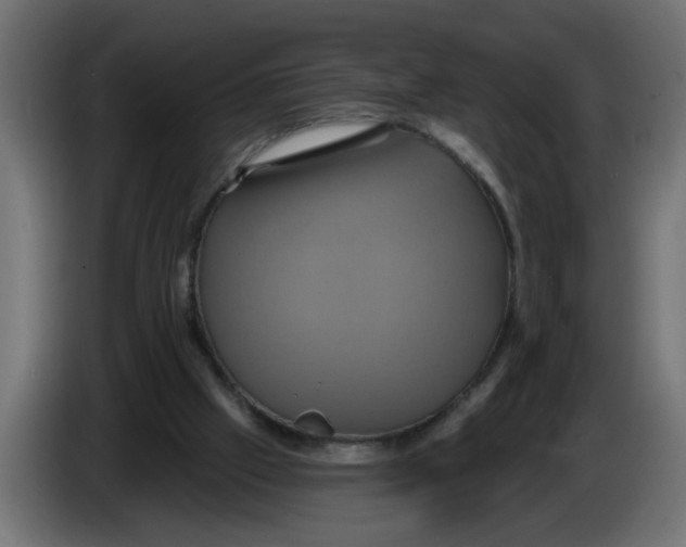 X0000086020057200704131859