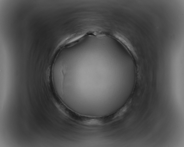 X0000086020058200704131859