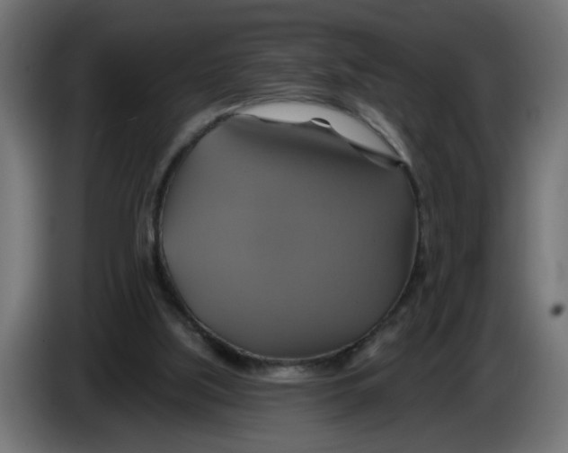X0000086020059200704131859