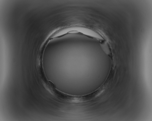X0000086020060200704131859