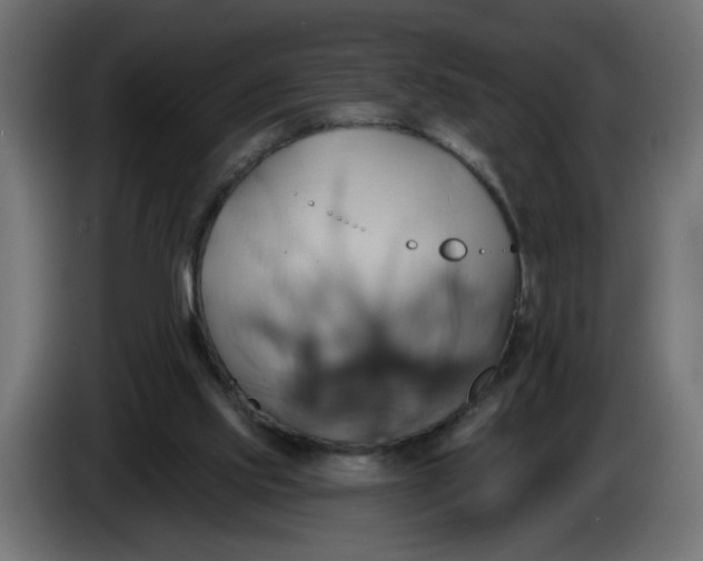 X0000086020061200704131859