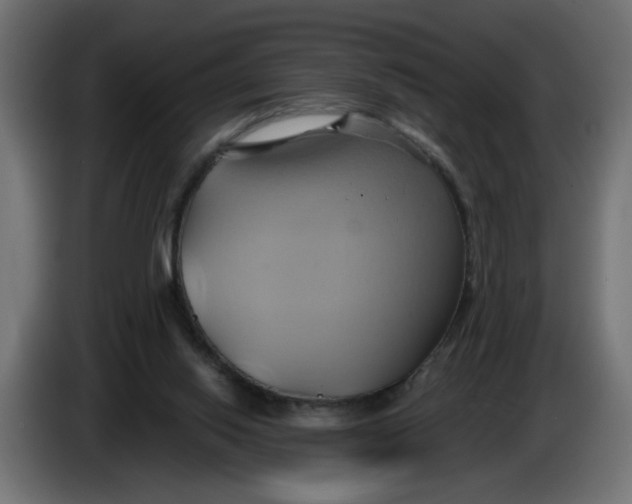 X0000086020062200704131859