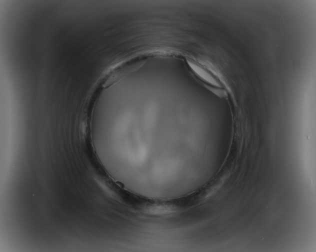 X0000086020063200704131859