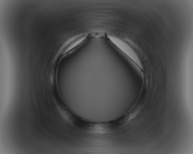 X0000086020064200704131859