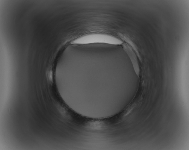 X0000086020067200704131859