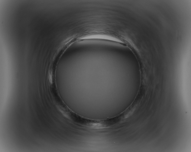 X0000086020068200704131859