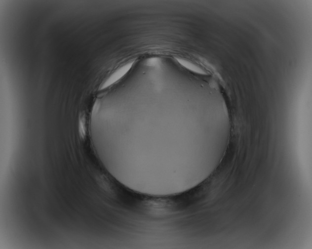 X0000086020069200704131859
