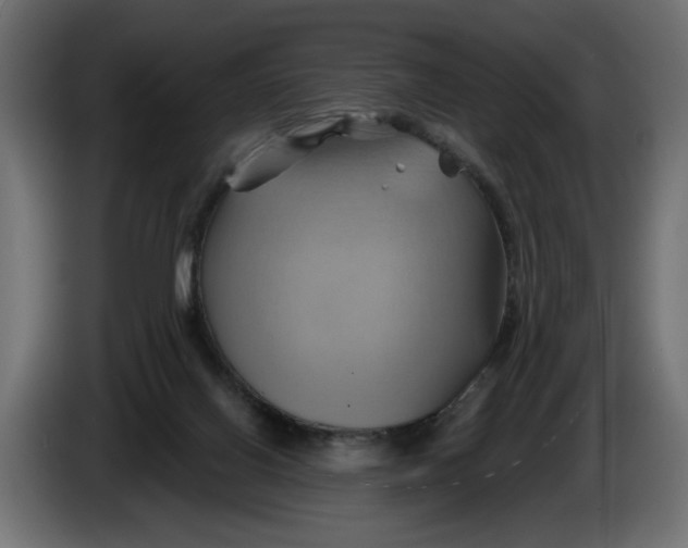 X0000086020070200704131859