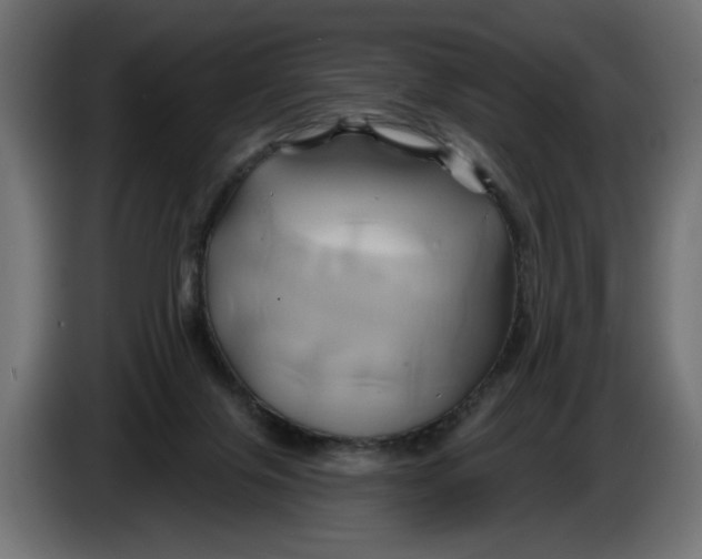 X0000086020071200704131859