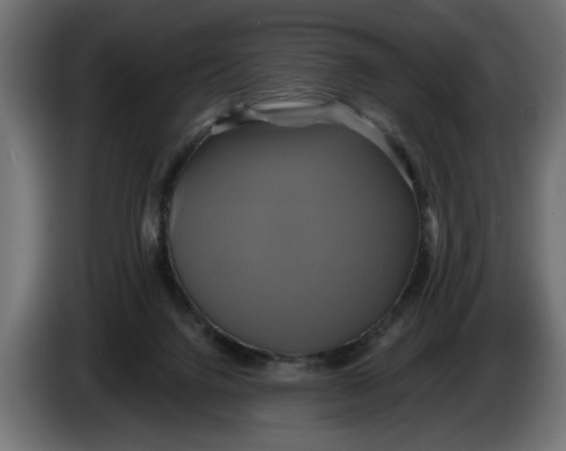X0000086020072200704131859