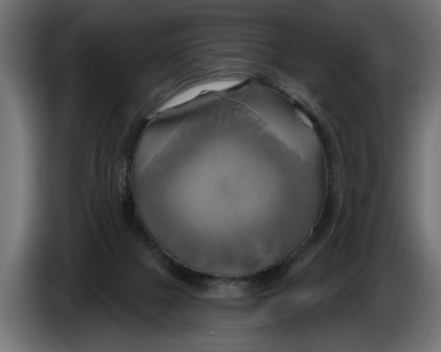 X0000086020073200704131859