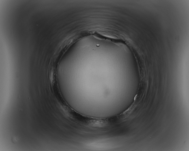 X0000086020074200704131859