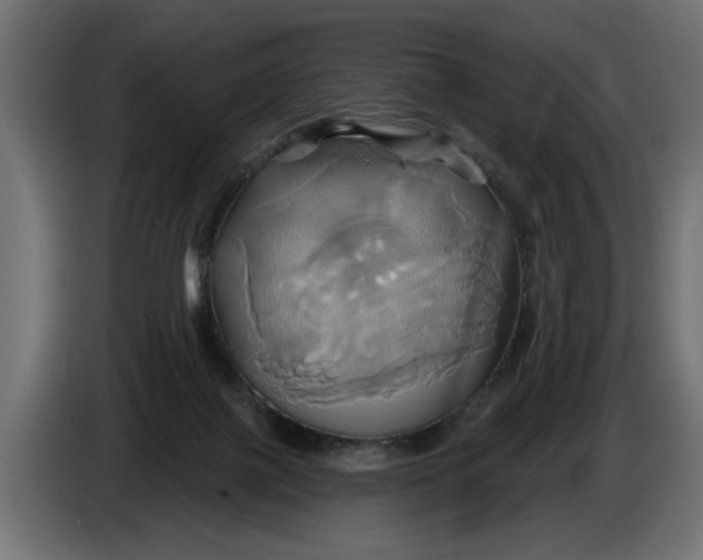 X0000086020075200704131859
