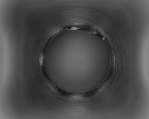 X0000086020076200704131859