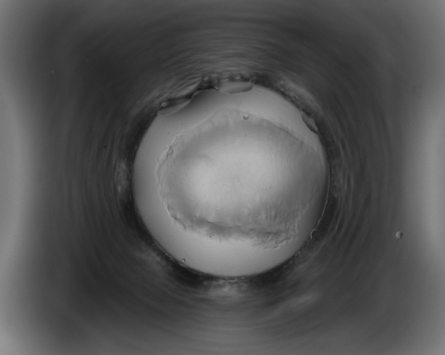X0000086020077200704131859