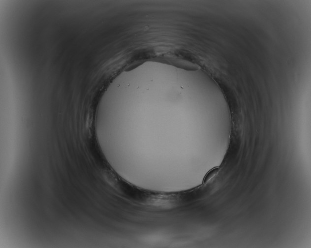 X0000086020082200704131859