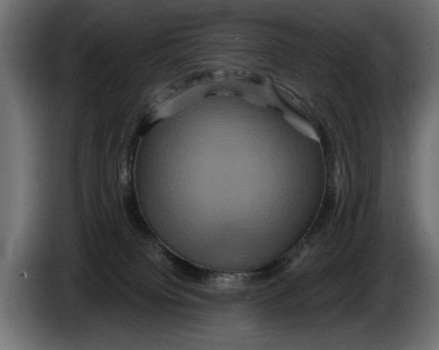X0000086020084200704131859