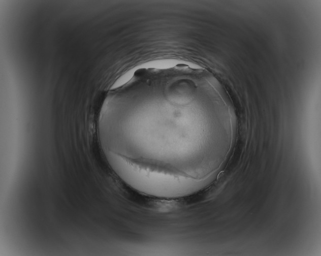 X0000086020085200704131859