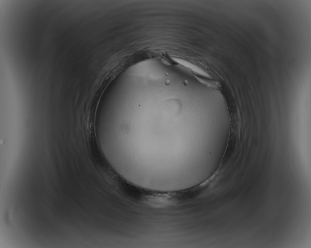 X0000086020086200704131859