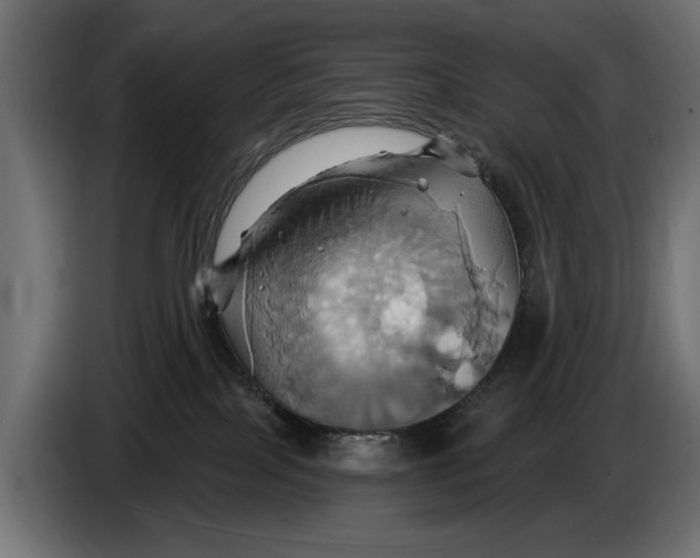 X0000086020089200704131859