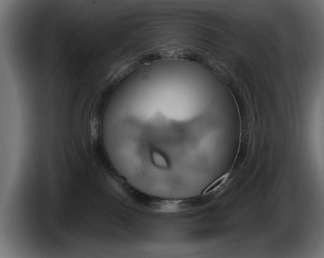 X0000086020090200704131859