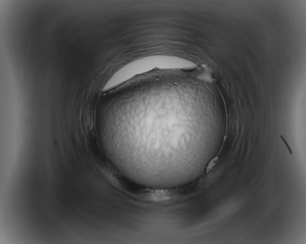 X0000086020091200704131859