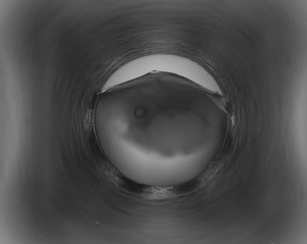 X0000086020093200704131859