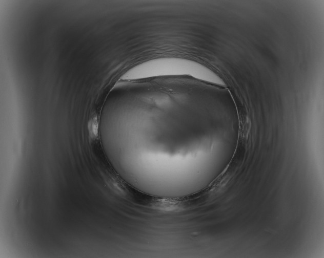 X0000086020095200704131859