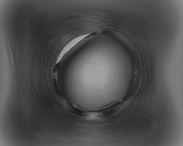 X0000086020096200704131859