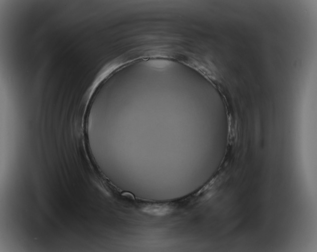 X0000086020099200704131858