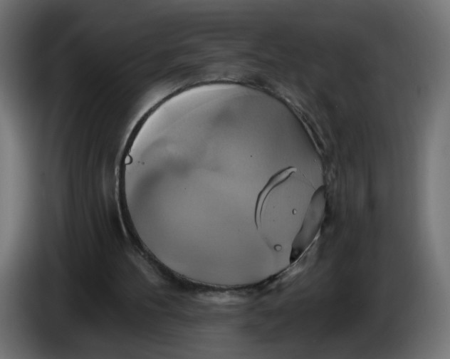 X0000086020100200704131858